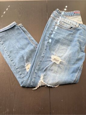 Standards & Practices Leah Women's 16 Slightly Roll Up Boyfriend Distressed Jean